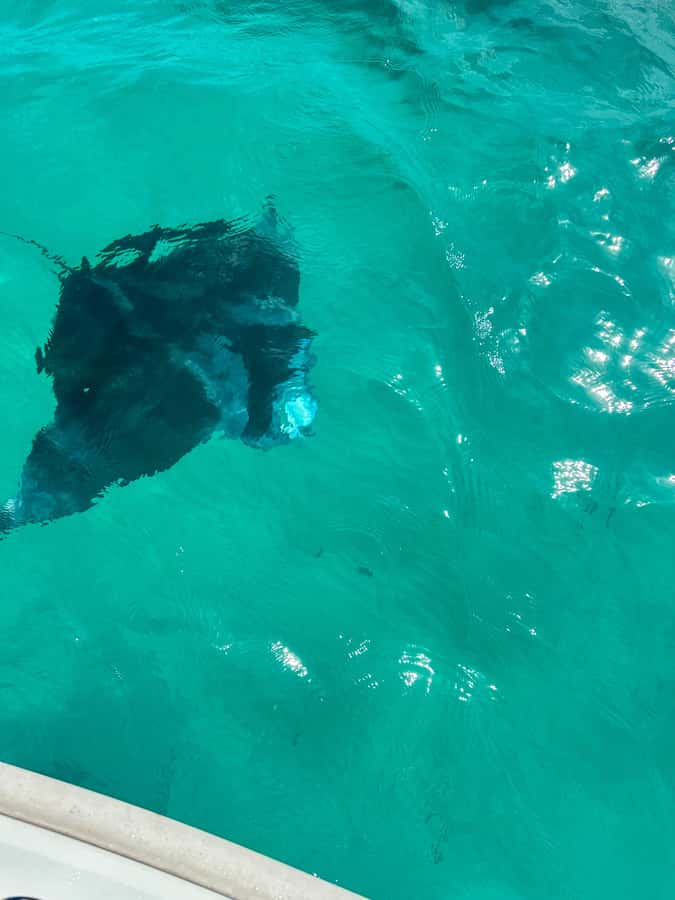 Mahe: Private half-day boat trip at the St.Anne Marine Park - Three snorkeling stops in St. Anne Marine National Park