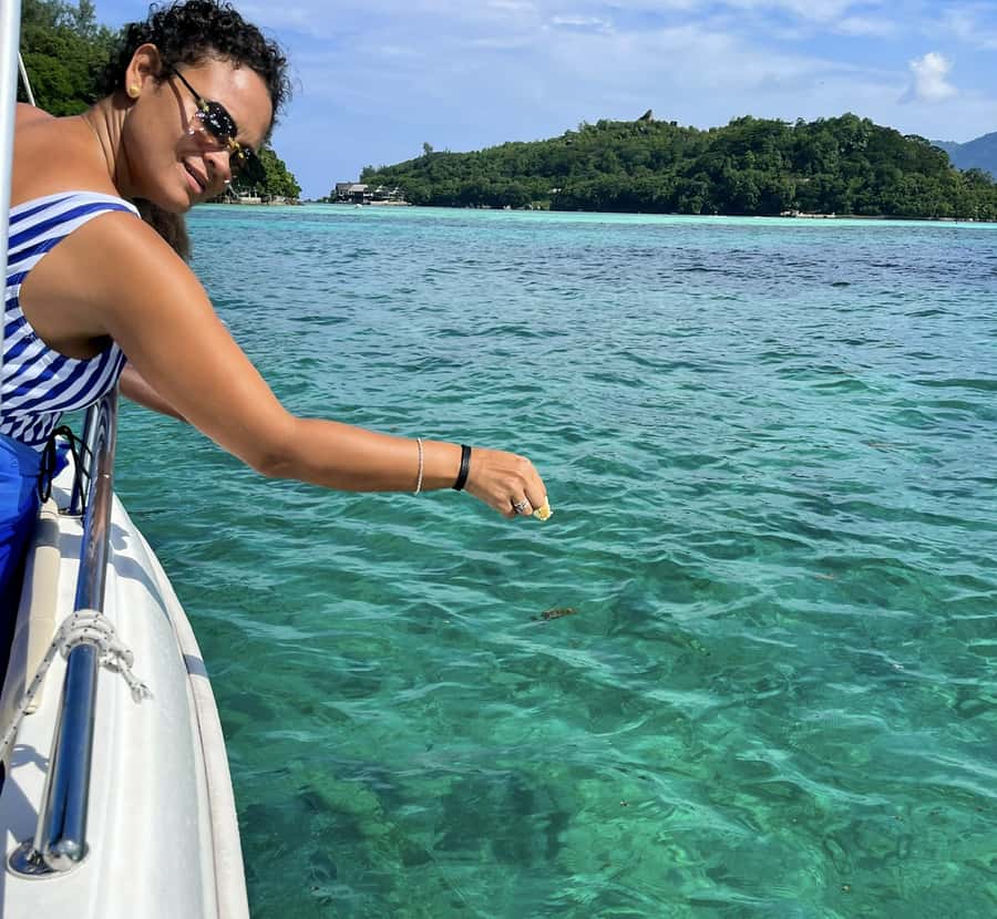 Mahe: Private half-day boat trip at the St.Anne Marine Park - Cerf Island swim and snorkeling time