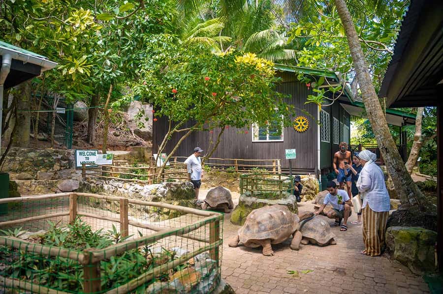 Mahé: Saint-Anne Marine Park and Moyenne Island Cruise - Catamaran cruise basics, plus what to pack for a real sea day