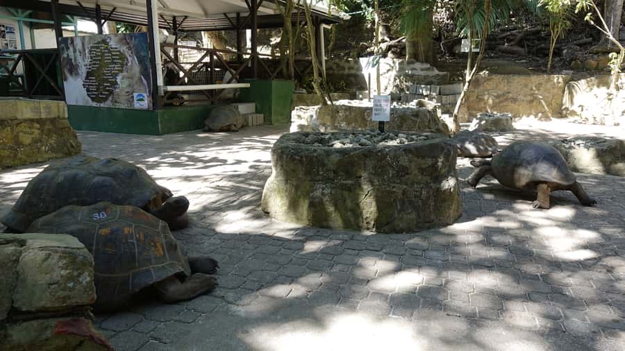 Mahe: St.Anne Marine National Park Reef Safari with Lunch - Five things you’ll enjoy most on this reef safari