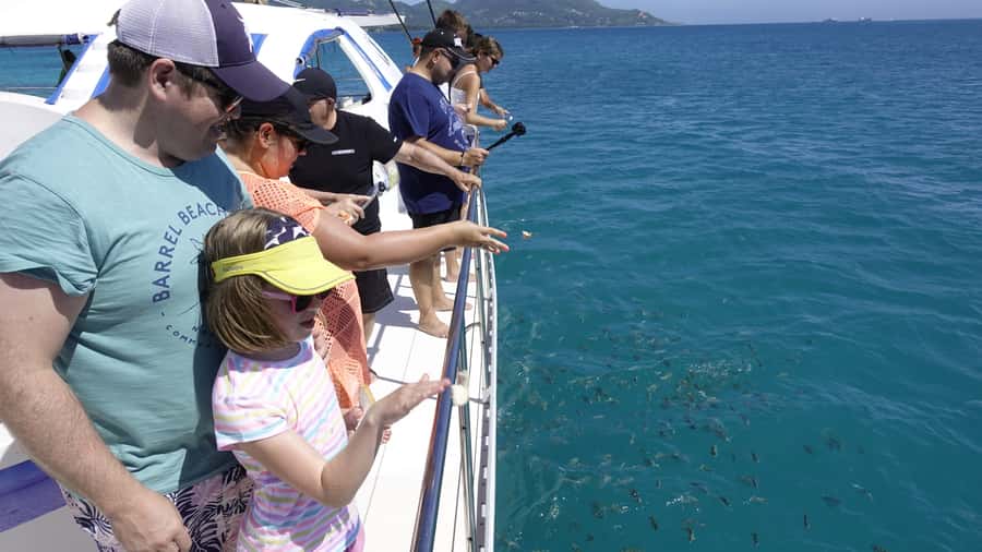 Mahe: St.Anne Marine National Park Reef Safari with Lunch - Arriving on Anahita: the Mahe-to-islands start