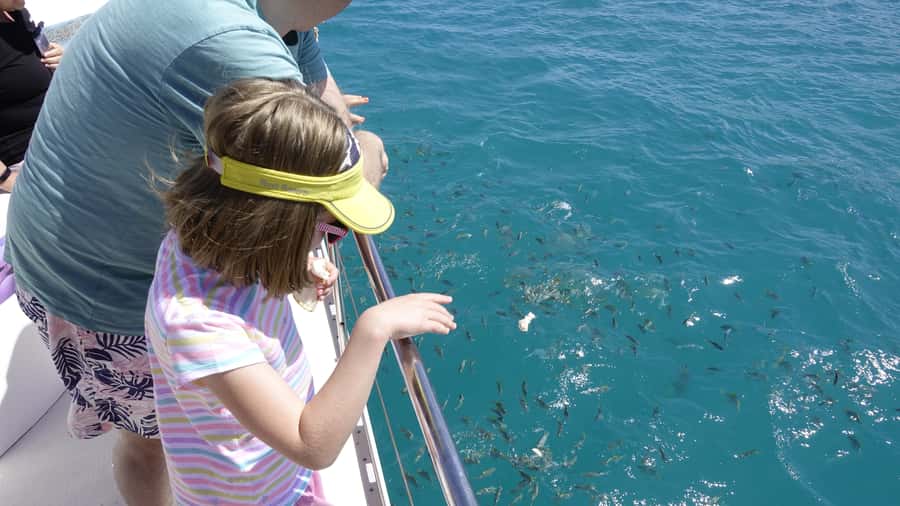 Mahe: St.Anne Marine National Park Reef Safari with Lunch - Fish, coral, and possible dolphins: what to watch for