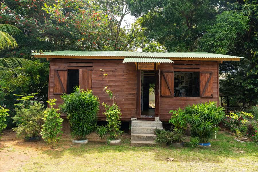 Mahé: Wild South Discovery Trip with Local Lunch - Cap Lazare Nature Reserve: Creole buffet lunch plus trails and tortoises