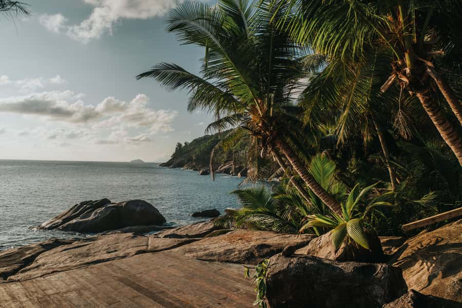 Mahé: Wild South Discovery Trip with Local Lunch - What to bring for comfort, photos, and beach time