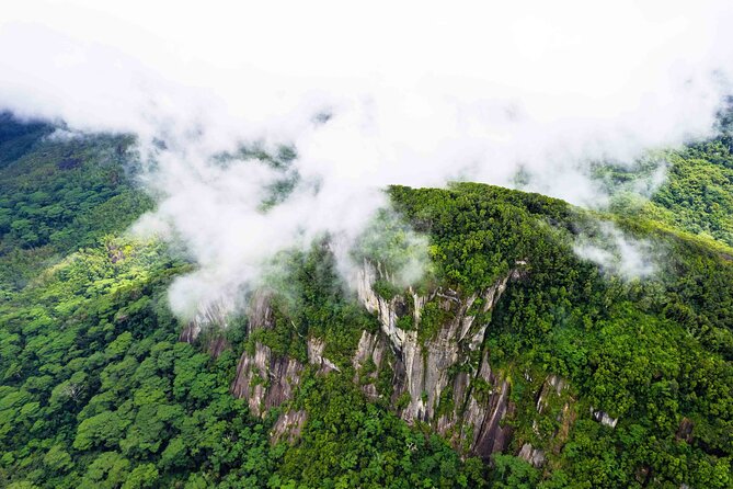 Nature trail - Morne Blanc (Mahe) - Why Morne Blanc is worth a half-day on Mahe