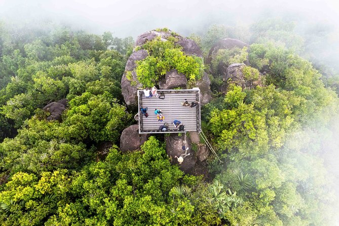 Nature trail - Morne Blanc (Mahe) - Morne Seychellois National Park: more than a backdrop