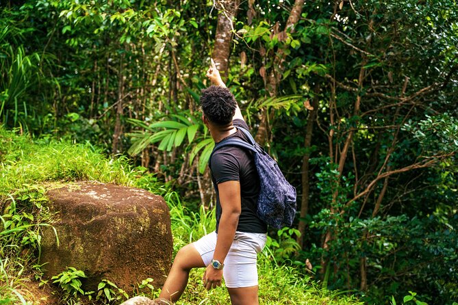 Nature trail - Morne Blanc (Mahe) - Pickup, timing, and how to plan your day on Mahe
