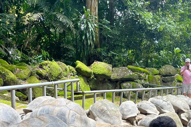 Omnibus service in Seychelles - Key Highlights You’ll Notice Fast