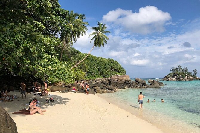 One Way Seychelles Private Airport Transfer - The Ride to Your Hotel: Flat Fee, Private Car, and Real Help