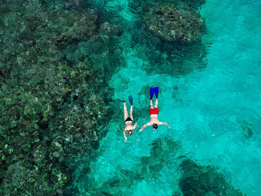 Praslin: Curieuse & St. Pierre Full-Day Boat Trip with Lunch - Anse Georgette swim break: a quick white-sand palate cleanser