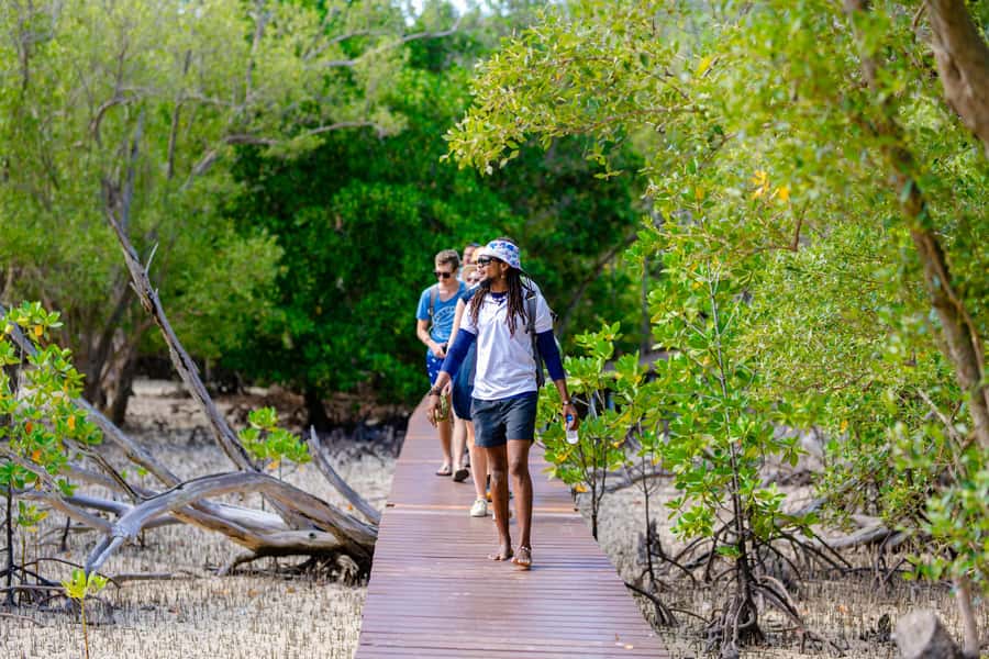 Praslin: Curieuse & St. Pierre Full-Day Boat Trip with Lunch - Price and Logistics: is $93 worth it after you add the extras?