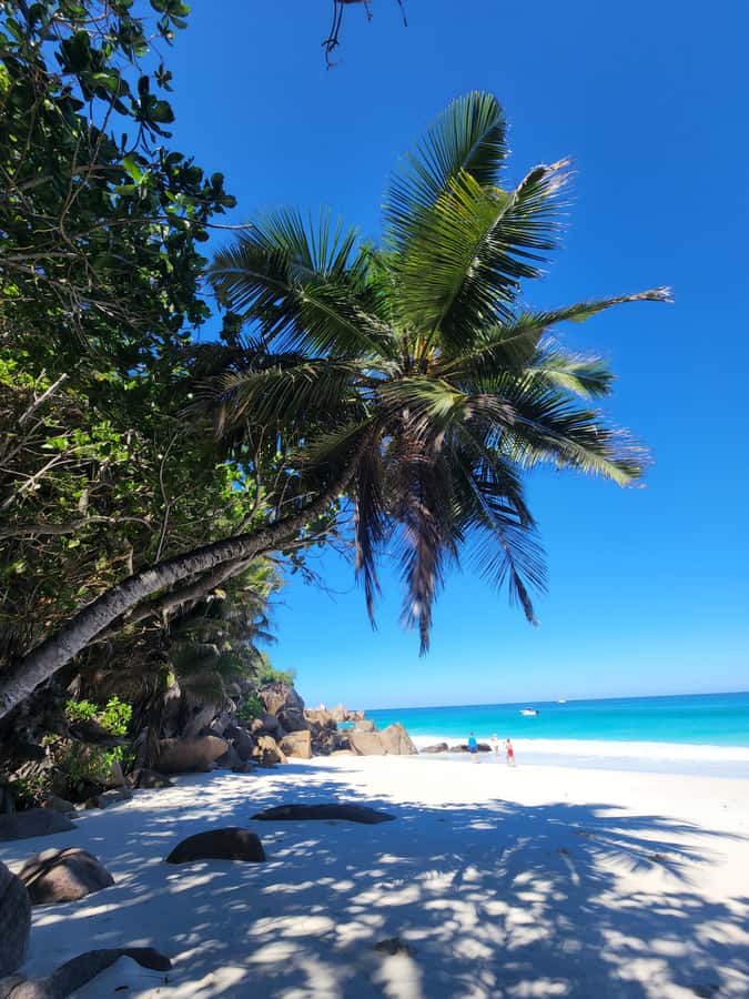 Praslin: Full Day Private Tour - Photo Stops, Satellite Islands, and Viewpoints on the Way