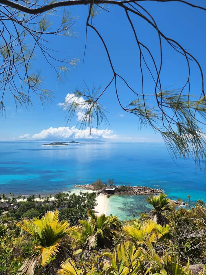 Praslin: Full Day Private Tour - Lunch at Your Own Pace, Plus Fruit and Local Souvenirs