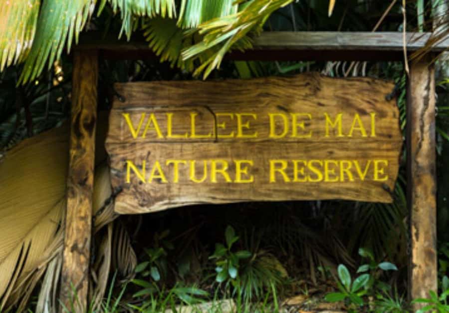 Praslin : Private tour - Vallee de Mai: coco de mer, palms, and why a guide can matter