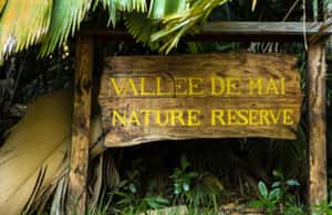 Praslin : Private tour - Anse Georgette lunch stop and the hotel access detail