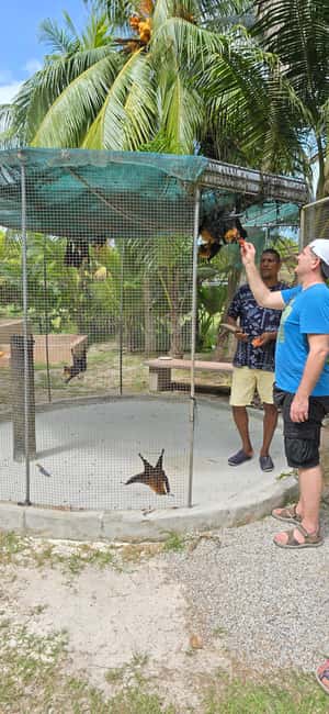 Praslin:Private Tour ValleDeMai,CoteD'orMuseum & AnseLazio - Valle de Mai National Park: coco-de-mer, Black Parrot, and the right pace