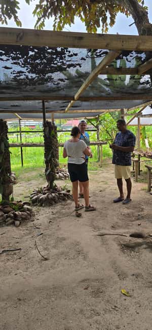 Praslin:Private Tour ValleDeMai,CoteD'orMuseum & AnseLazio - Cote dOr Museum area: Praslin Museum without the overwhelm