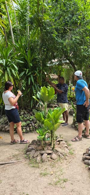 Praslin:Private Tour ValleDeMai,CoteD'orMuseum & AnseLazio - Anse Lazio: why the last stop is the real payoff