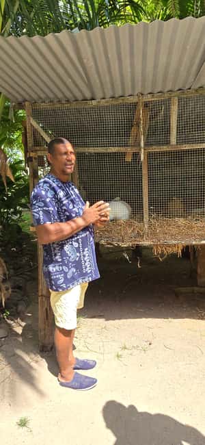 Praslin:Private Tour ValleDeMai,CoteD'orMuseum & AnseLazio - Price and ticket fees: how to judge the real total cost