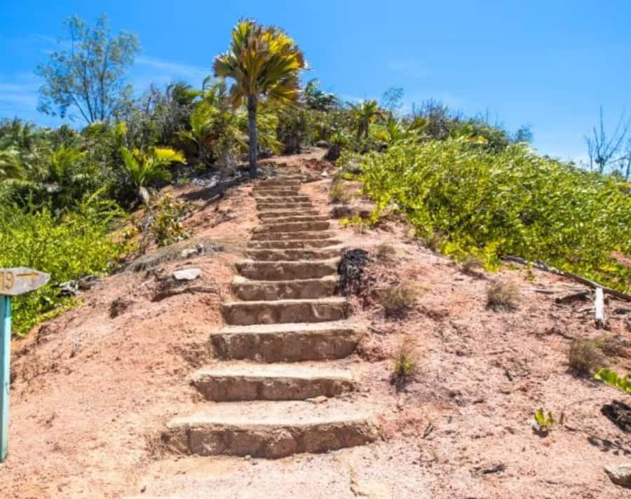 Praslin : Private tour - Choosing your morning hike: Vallee de Mai vs Fond Ferdinand