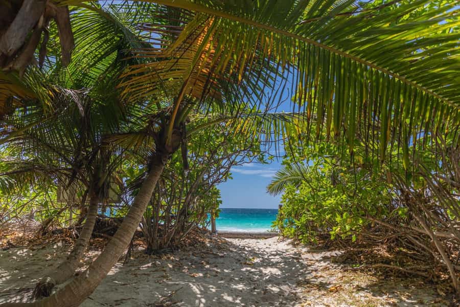Praslin: Sister & Coco Island Full-Day Cruise and Creole BBQ - Sister Island Beach Morning, Coco and Félicité Snorkel Afternoon