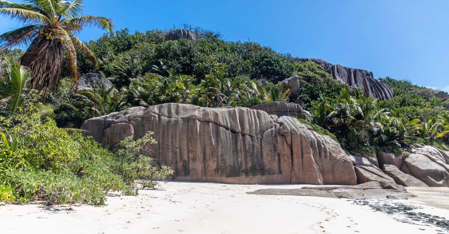 Praslin: Sister & Coco Island Full-Day Cruise and Creole BBQ - Snorkeling That Focuses on Real Life: Fish, Turtles, and Coral Reefs
