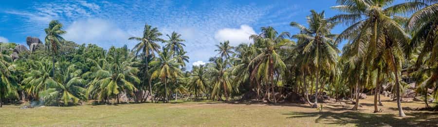 Praslin: Sister & Coco Island Full-Day Cruise and Creole BBQ - Creole BBQ Lunch on the Sand: More Than Food, It’s Part of the Setting