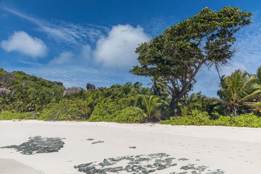 Praslin: Sister & Coco Island Full-Day Cruise and Creole BBQ - What to Bring for Sun, Salt, and Snorkel Comfort