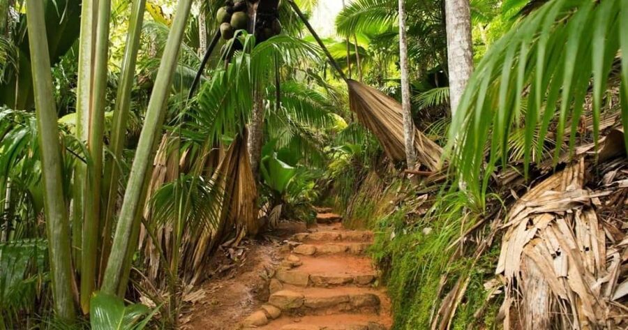 Praslin : Tour (Shared) - Price and value: is $117 fair for this route?