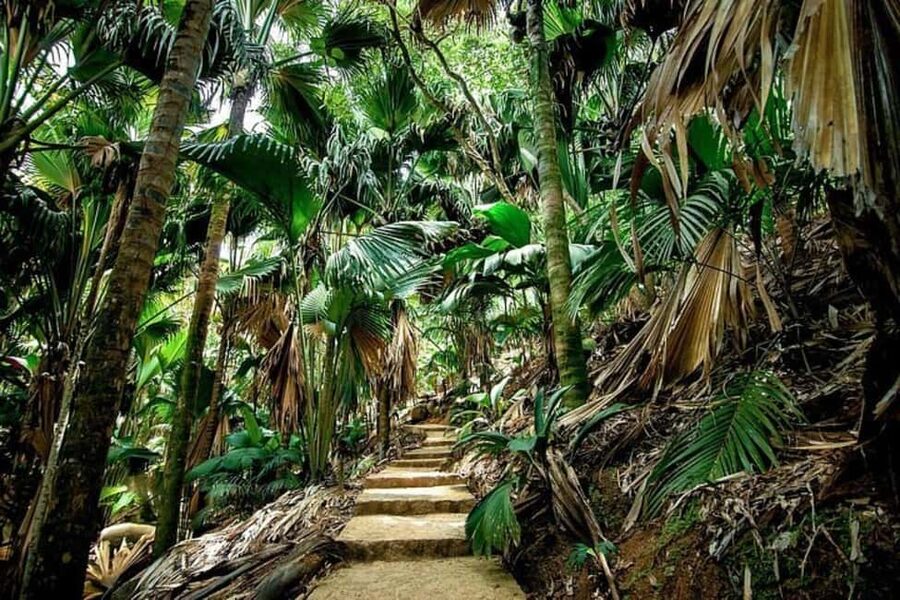 Praslin : Tour (Shared) - What to pack for Vallee de Mai, beaches, and that short descent