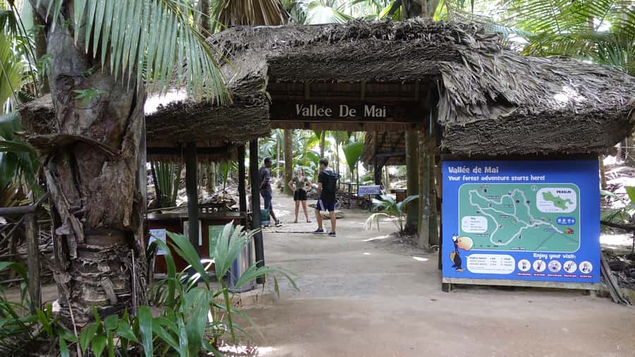 Praslin: Vallée de Mai and Anse Lazio Beach Full-day Tour - Black Parrot spotting: manage your expectations, then look smarter