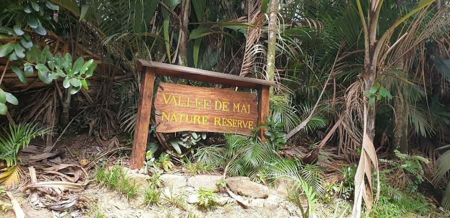 Praslin: Vallée de Mai and Anse Lazio Beach Full-day Tour - Price and value: $76 gets you guiding and transport, not everything