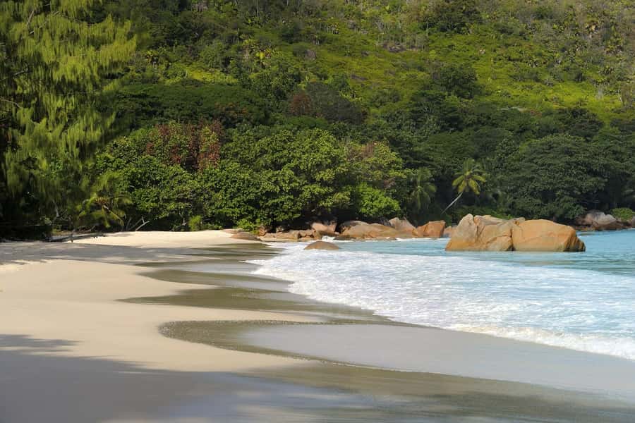 Praslin: Vallée de Mai and Anse Lazio Beach Full-day Tour - What to watch out for at Anse Lazio (and why polite matters)