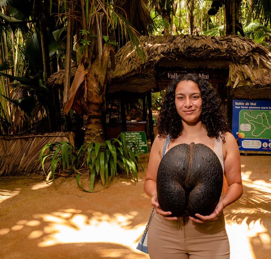 Praslin: Vallee de Mai Guided Hike with Transfer - Key highlights worth getting excited about