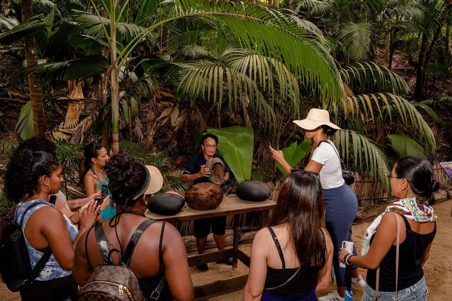 Praslin: Vallee de Mai Guided Hike with Transfer - Bird time: hearing the Seychelles Black Parrot call
