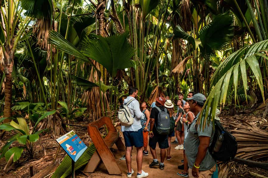 Praslin: Vallee de Mai Guided Hike with Transfer - Walking the Vallee de Mai rainforest, UNESCO style