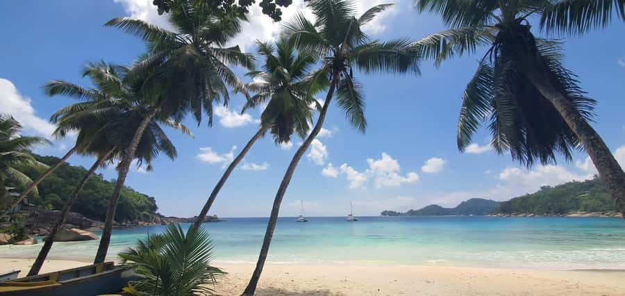 Private Customized Tour: Explore Mahe beyond the ordinary - Sir Selwyn Selwyn Clarke Market for spices, fruit, and fish