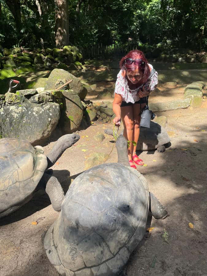 Private Customized Tour: Explore Mahe beyond the ordinary - Seychelles National Botanical Garden, coco de mer and a time capsule