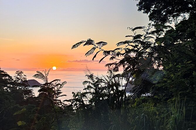 Private Day Tour in Seychelles - Key Things I’d Pack Into Your Plan
