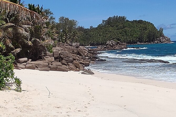 Private Day Tour in Seychelles - Anse Intendance: South Point Beach Views Without the Overplanning