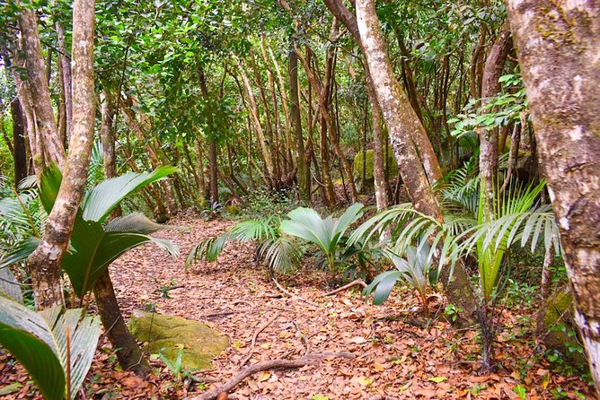 Private Full day Mahé island tour (1-2 persons) - Entrance fees, lunch, and what you need to budget