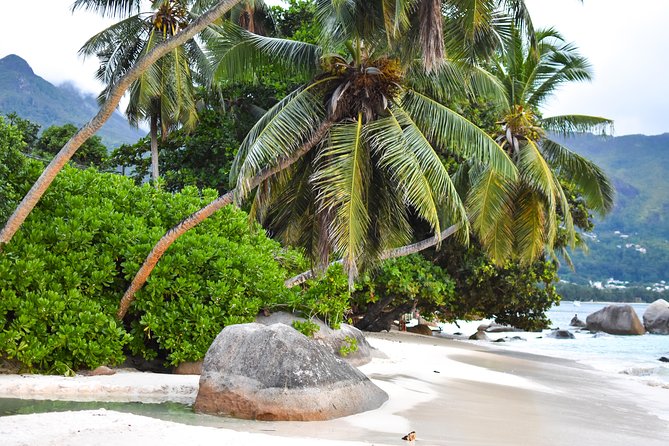 Private Half Day Mahe Island Tour (1-5 persons) - Stop 1: Victoria Town Tour, the Small Capital Feel