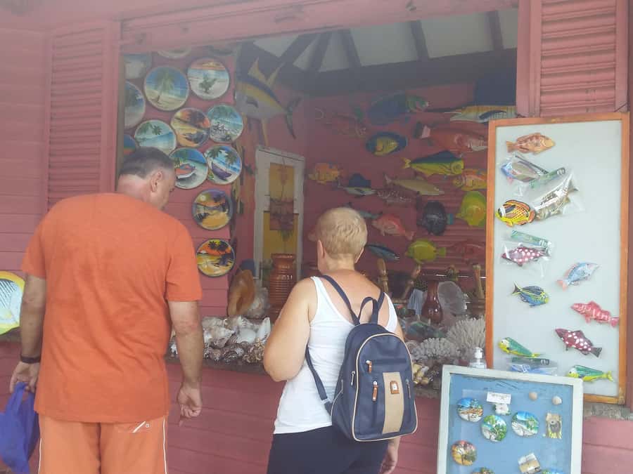Private half day tour with free rum tasting - Pickup, comfort, and the all-important first meeting spot