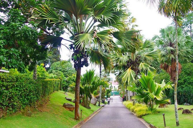 Private Mahe Island Full day Tour with Pickup - Sauzier Waterfall and the Trail Reality Check