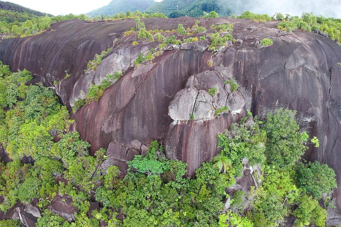 Private Nature Tours & Trail 1 to 5 persons - The value behind “private” (and when it’s worth the money)