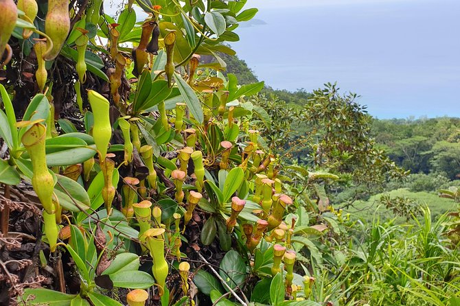 Private Nature Tours & Trail 1 to 5 persons - What’s included, what’s not, and the one cost surprise to watch
