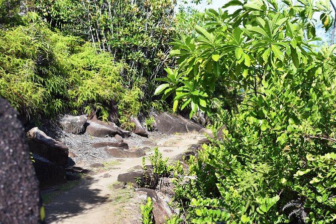 Private Nature Trail (Hiking) (1-2 persons) - Viewpoints over Victoria, St Anne, Eden Island, and beyond