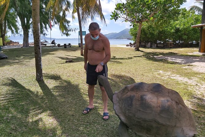 Private Seychelles Islands Tour by Boat with snacks & drinks - A half-day plan that saves you hours of deciding