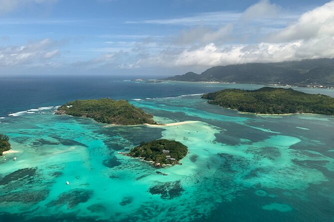 Reef Safari - Snorkeling, Fish Feeding & Lunch (Private Day Trip) - Key highlights you’ll actually care about