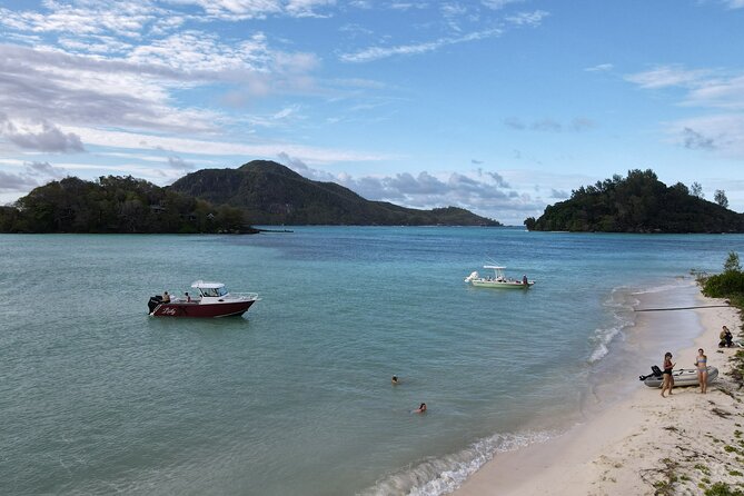 Reef Safari - Snorkeling, Fish Feeding & Lunch (Private Day Trip) - Moyenne Island: the 45-minute walk, the beach, and the tortoise payoff